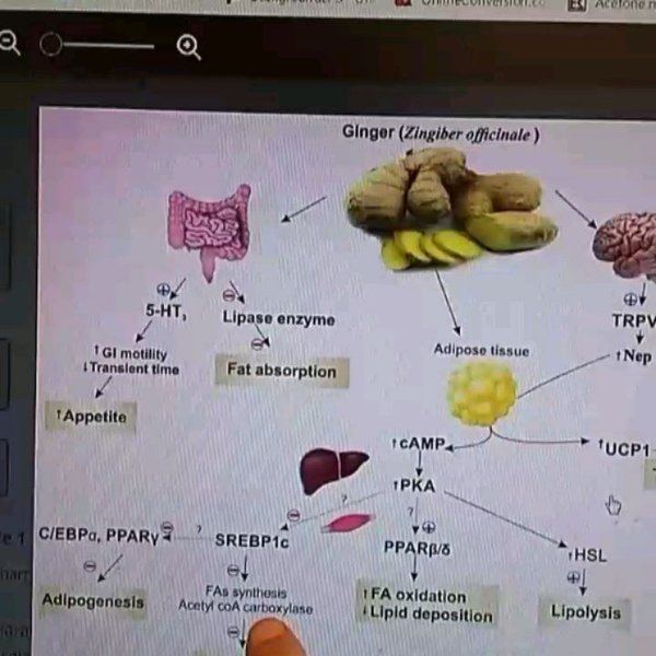 Thumbnail of p-bti8k3pag8b-8e64767a1d93411d 6