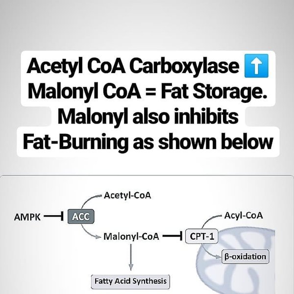 Thumbnail of p-bti8k3pag8b-8e64767a1d93411d 7