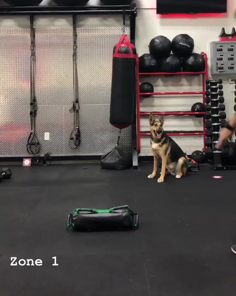 Thumbnail of p-b1hanqidr0v-8e649a9de56143d9 1