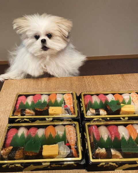 Thumbnail of p-c29zbttbl9g-8e6ba59e65c74ae8 0