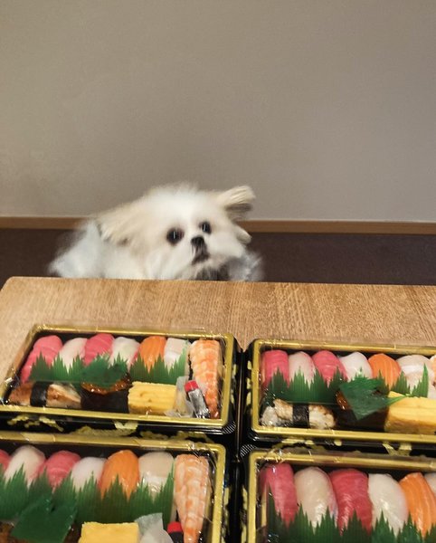 Thumbnail of p-c29zbttbl9g-8e6ba59e65c74ae8 1