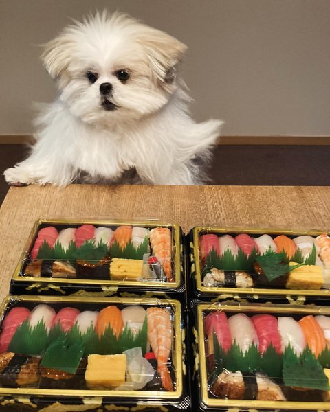 Thumbnail of p-c29zbttbl9g-8e6ba59e65c74ae8 2