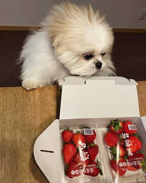 Thumbnail of p-c29zbttbl9g-8e6ba59e65c74ae8 3