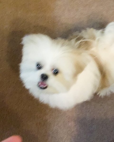 Thumbnail of p-c29zbttbl9g-8e6ba59e65c74ae8 4