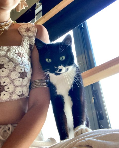 Thumbnail of p-cuzmtryngch-8e6bcc84324a4abb 6