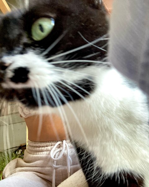 Thumbnail of p-cuzmtryngch-8e6bcc84324a4abb 7