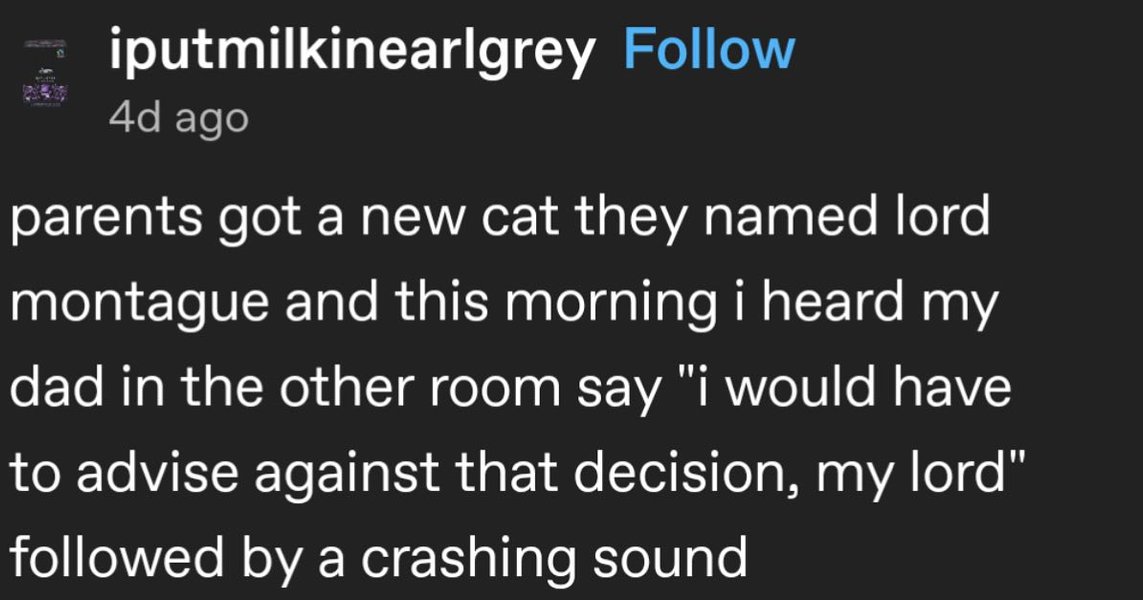 Thumbnail of p-cwx0ssbu6ik-8e969549661d4608 0