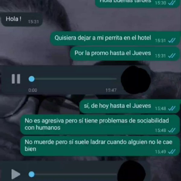 Thumbnail of p-cykjsmet9oq-8ecbeb9e4b494f54 0