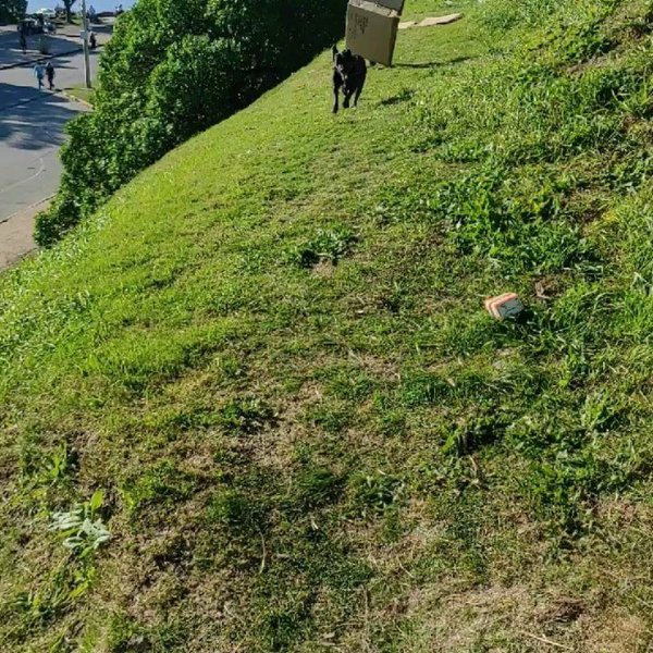 Thumbnail of p-cykjsmet9oq-8ecbeb9e4b494f54 2