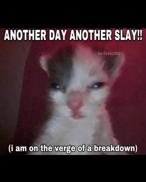 Thumbnail of c15pto-sww1-8ed8fefdfd5d47ad 7