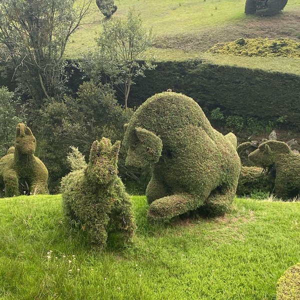 Thumbnail of p-cc4xqtljuug-8ed9dd2c14d54666 2