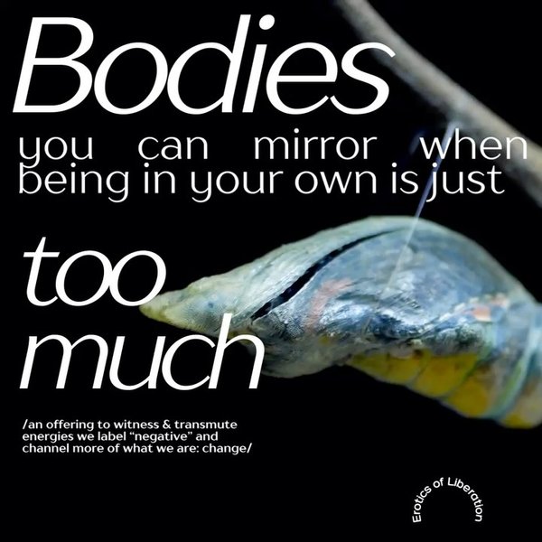 Thumbnail of p-djmthkgsfln-8edb1c67319b4bba 0