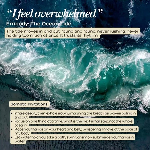 Thumbnail of p-djmthkgsfln-8edb1c67319b4bba 2