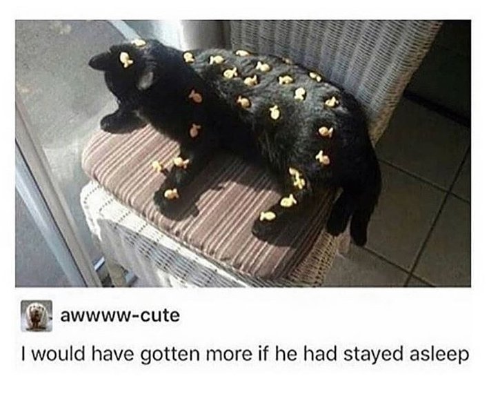 Thumbnail of p-b6elih8bopu-8ef90a47cf1f47a4 0