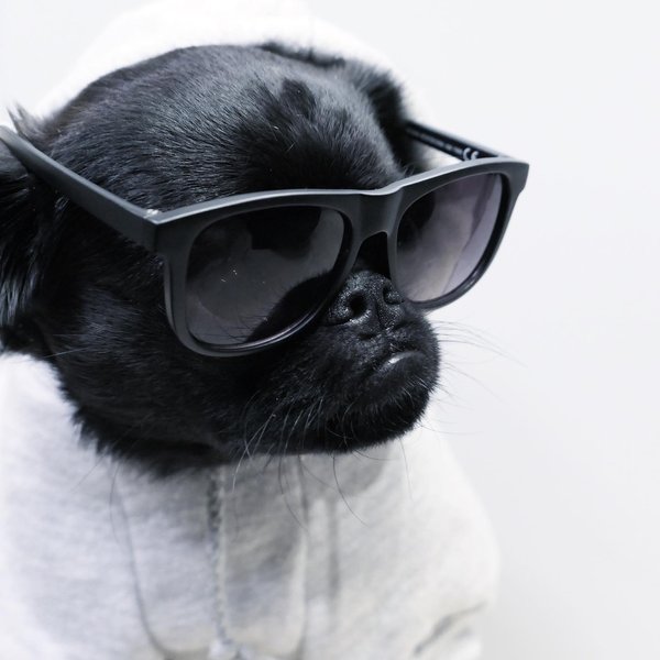 Thumbnail of p-bz08v59obre-8efe65b0b7d04afe 0