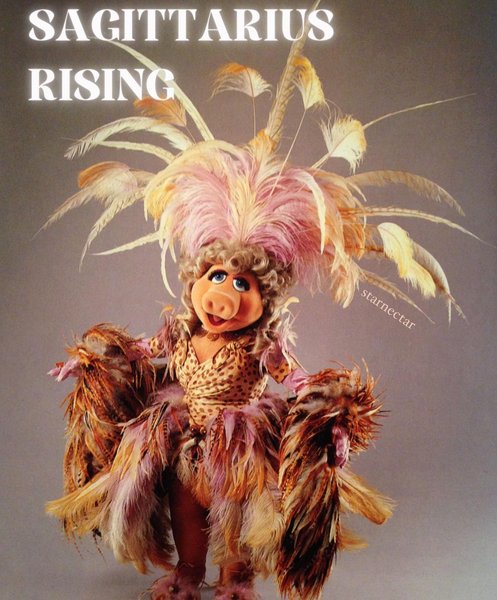 Thumbnail of p-csssjgtlqi2-8f0086f4200946e9 2