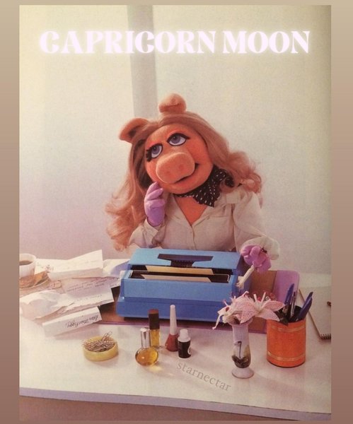 Thumbnail of p-csssjgtlqi2-8f0086f4200946e9 5