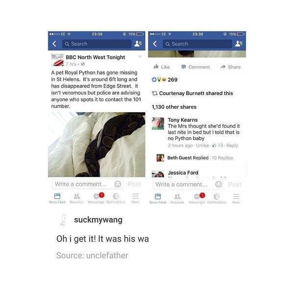 Thumbnail of p-b3hhvadgpw7-8f0594f734d64b5e 2