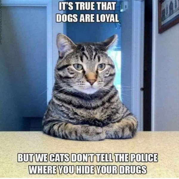 Thumbnail of br7-z7sfrn1-8f442da3c1574b0c 0