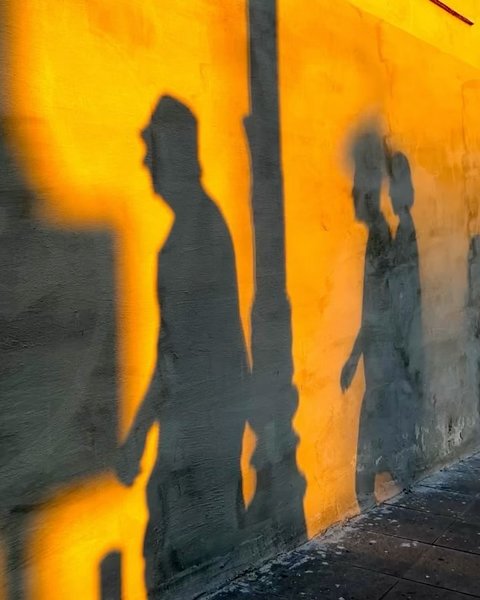 Thumbnail of p-c0utf2zttni-8f58e3f852934d4f 8