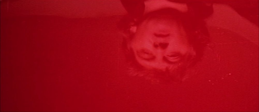 Thumbnail of www-x-com-hauntedmovies-status-1892975239602016273-8f76ff0395f841e2