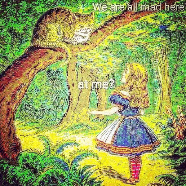 Thumbnail of p-copsfrgq4pb-8fad12d880124d44 6