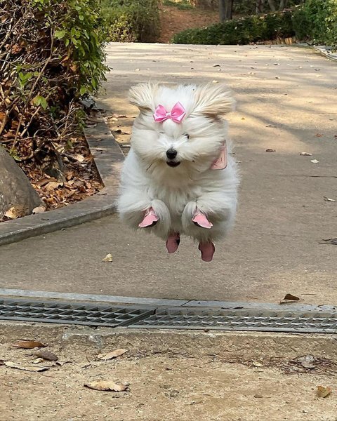 Thumbnail of p-c0vnhvjve0d-8fad515bccd74aeb 0