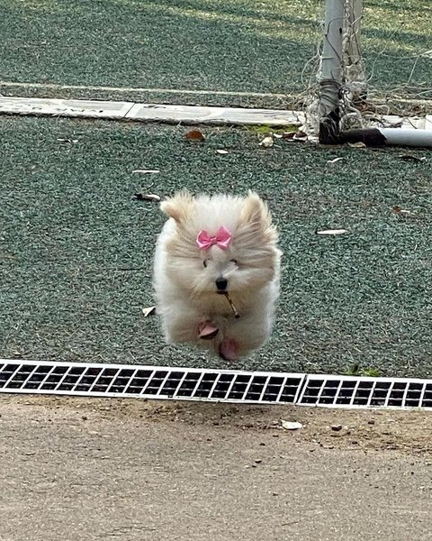 Thumbnail of p-c0vnhvjve0d-8fad515bccd74aeb 1