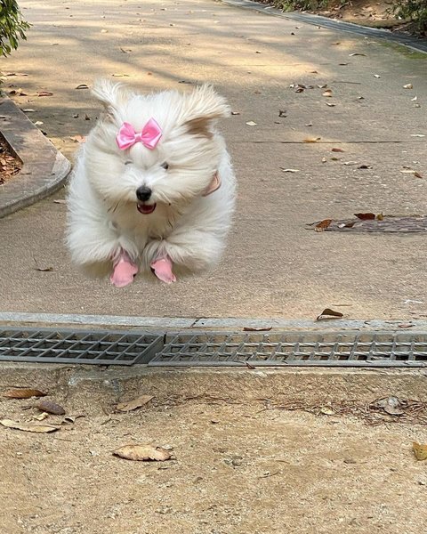 Thumbnail of p-c0vnhvjve0d-8fad515bccd74aeb 2