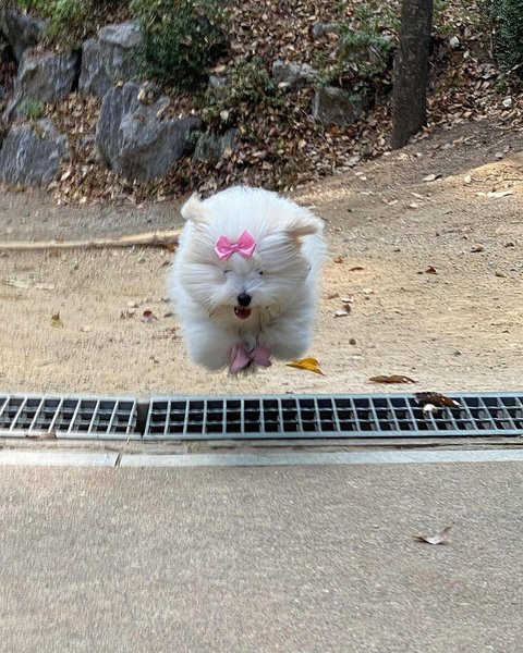 Thumbnail of p-c0vnhvjve0d-8fad515bccd74aeb 3