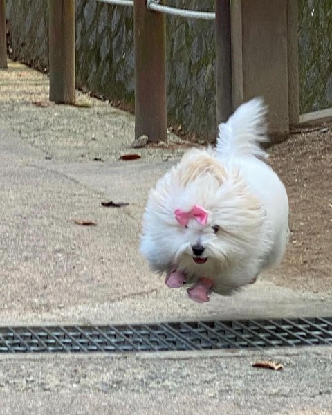 Thumbnail of p-c0vnhvjve0d-8fad515bccd74aeb 4