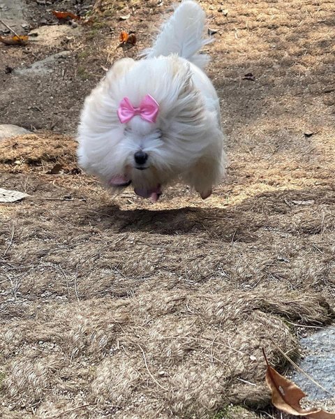 Thumbnail of p-c0vnhvjve0d-8fad515bccd74aeb 5