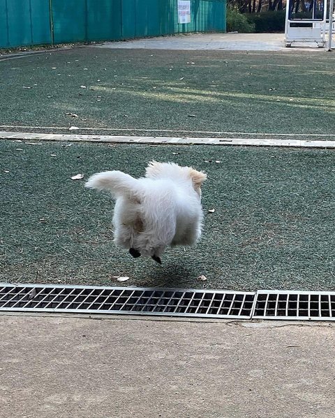 Thumbnail of p-c0vnhvjve0d-8fad515bccd74aeb 6