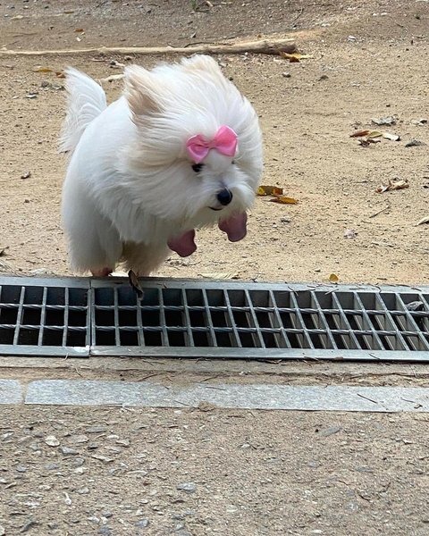 Thumbnail of p-c0vnhvjve0d-8fad515bccd74aeb 7