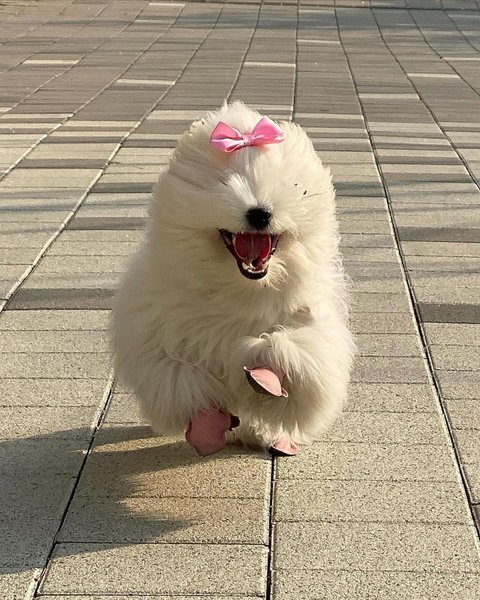 Thumbnail of p-c0vnhvjve0d-8fad515bccd74aeb 8