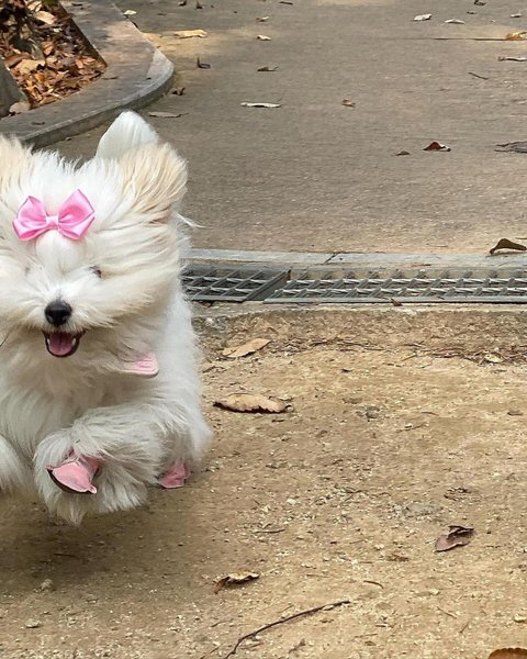 Thumbnail of p-c0vnhvjve0d-8fad515bccd74aeb 9