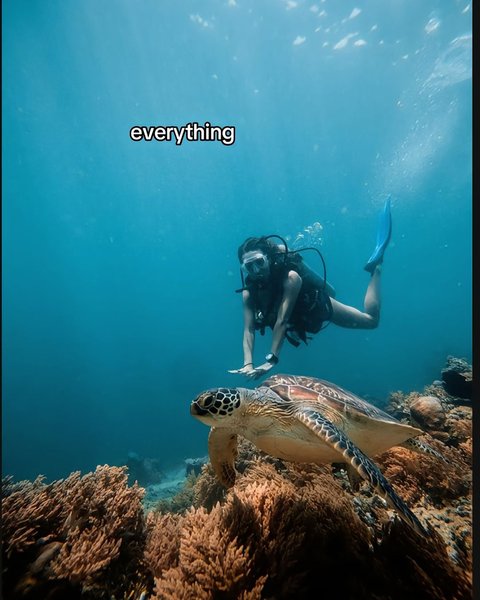 Thumbnail of p-dfcx4lfokhc-9010ed642efc403d 6