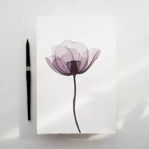 Thumbnail of p-cbjtd1wme0l-90125fdf57a34f6e 2