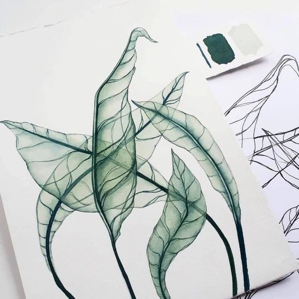 Thumbnail of p-cbjtd1wme0l-90125fdf57a34f6e 5