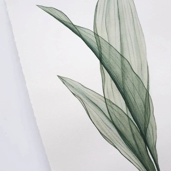 Thumbnail of p-cbjtd1wme0l-90125fdf57a34f6e 6