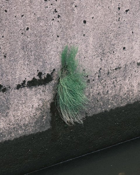 Thumbnail of p-cryz8pqr1qc-9082ddac85da4ab3 0