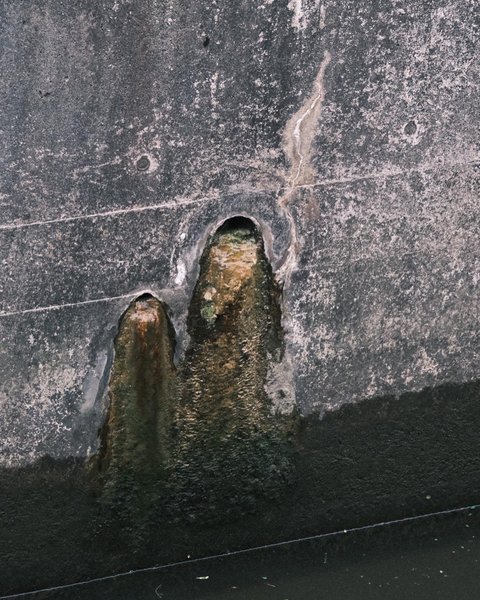 Thumbnail of p-cryz8pqr1qc-9082ddac85da4ab3 1