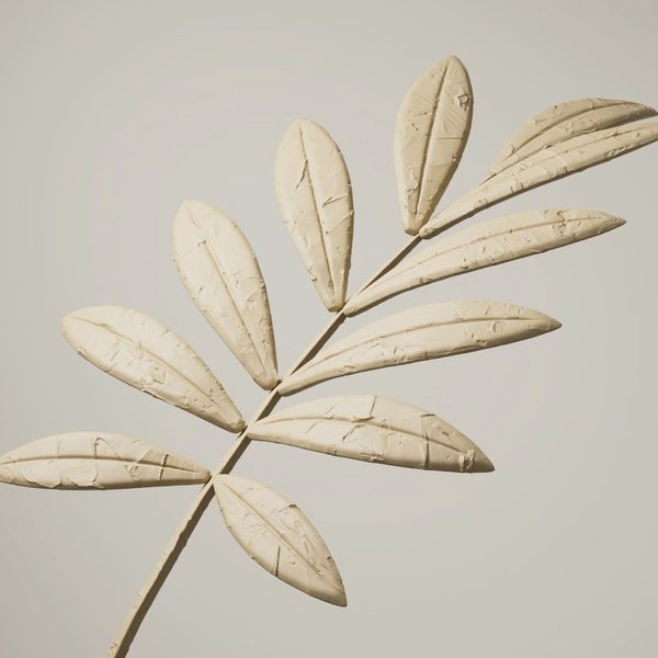 Thumbnail of p-cr3x8dyt6y4-909382addca84a8f 6