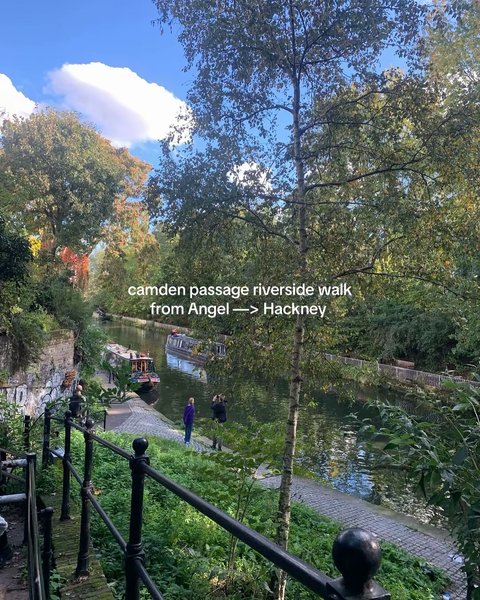 Thumbnail of p-ddt8u45ogmr-909535b71c2c4fde 1