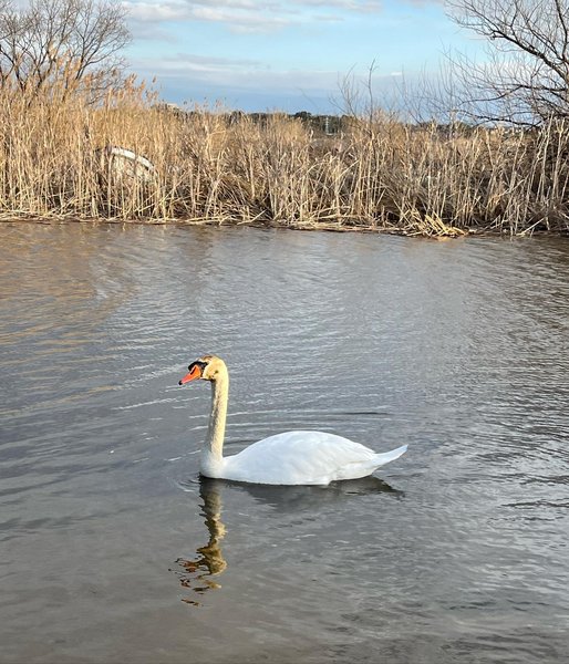 Thumbnail of p-c24mcdxhdc9-90e2bec646074914 7