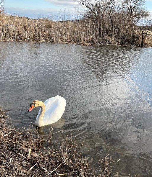 Thumbnail of p-c24mcdxhdc9-90e2bec646074914 8