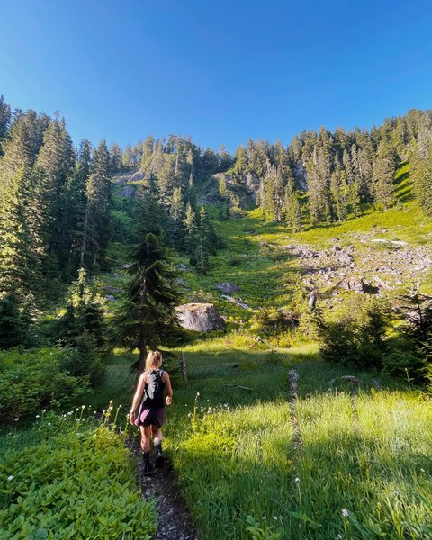 Thumbnail of p-crxusieha50-90e7dd3ee2f04265 4