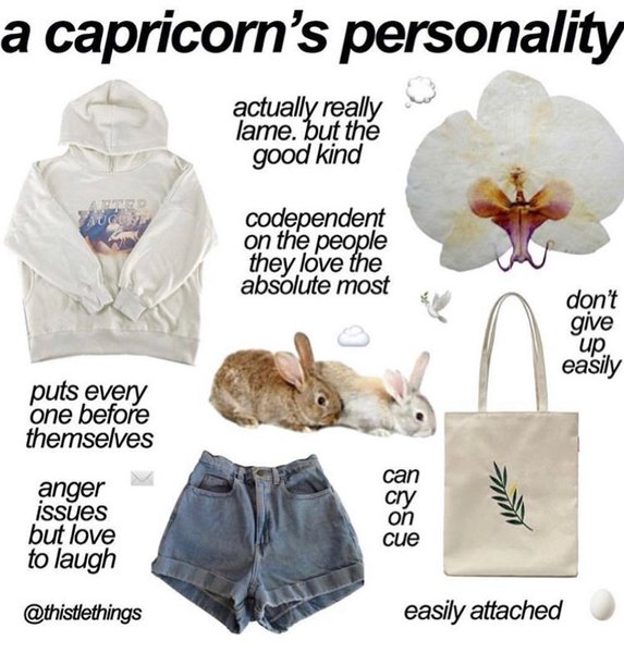 Thumbnail of p-b0mgxgmhfdn-90e81f3ba6b440d3 4