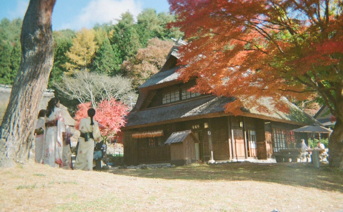 Thumbnail of www-x-com-noahamin-status-1888011953794060741-9105457f9c5a4342