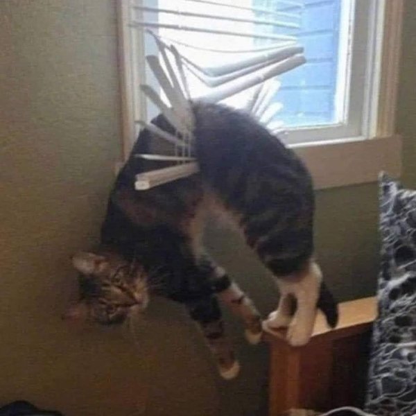 Thumbnail of p-dae8hzoym2g-913350b5ae83435e 17